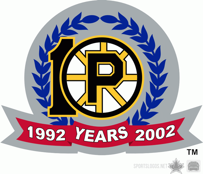 Providence Bruins 2001 02 Anniversary Logo iron on transfers for T-shirts
